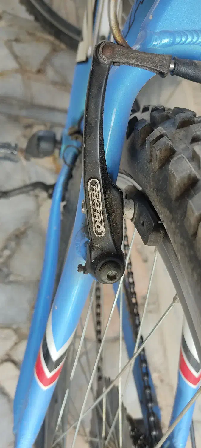 دوچرخه ویوا|دوچرخه، اسکیت، اسکوتر|بیرجند, |دیوار