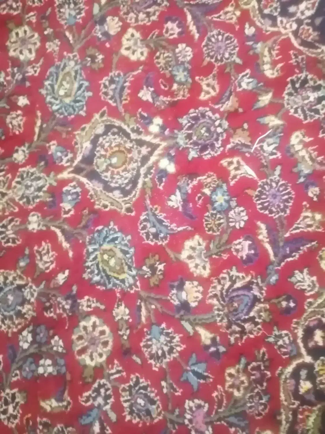 فرش 12متری دستباف|فرش|قم, شهرک قدس|دیوار