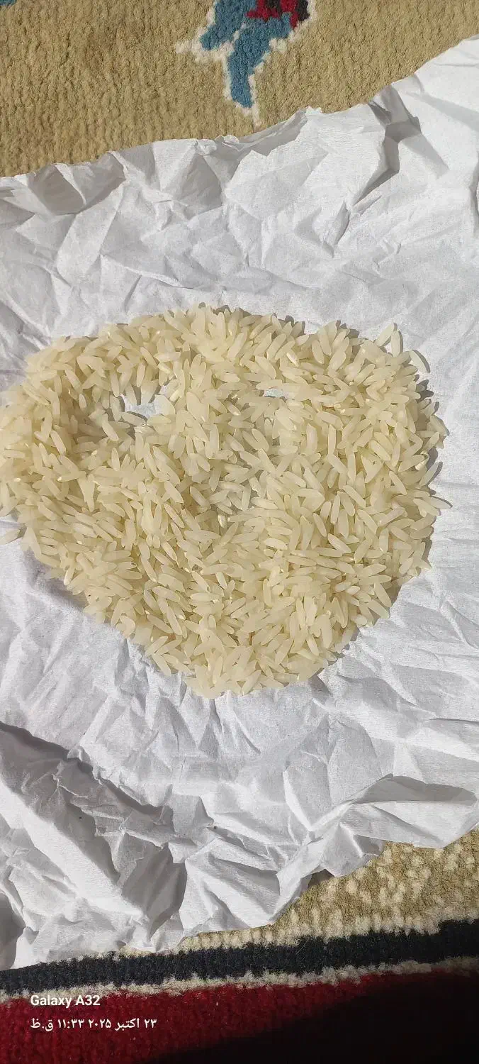 برنج بهنام یا بینام کشت دوم|خوردنی و آشامیدنی|بندر گز, |دیوار