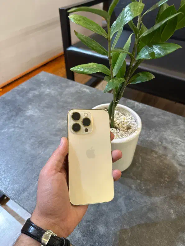 ایفون ۱۳ پرو ۲۵۶ گیگ پک اصلی|موبایل|مشهد, بهشت|دیوار