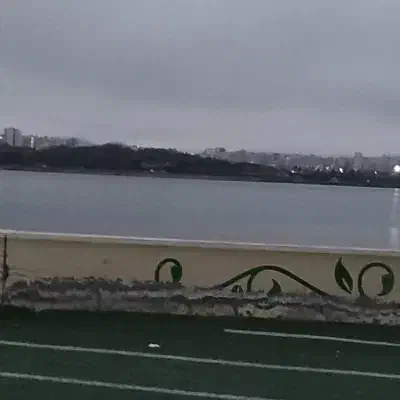 نیازمند خانم برای نظافت خانه از ساعت ۸ الی ۱۳|خدمات نظافت|اردبیل, |دیوار