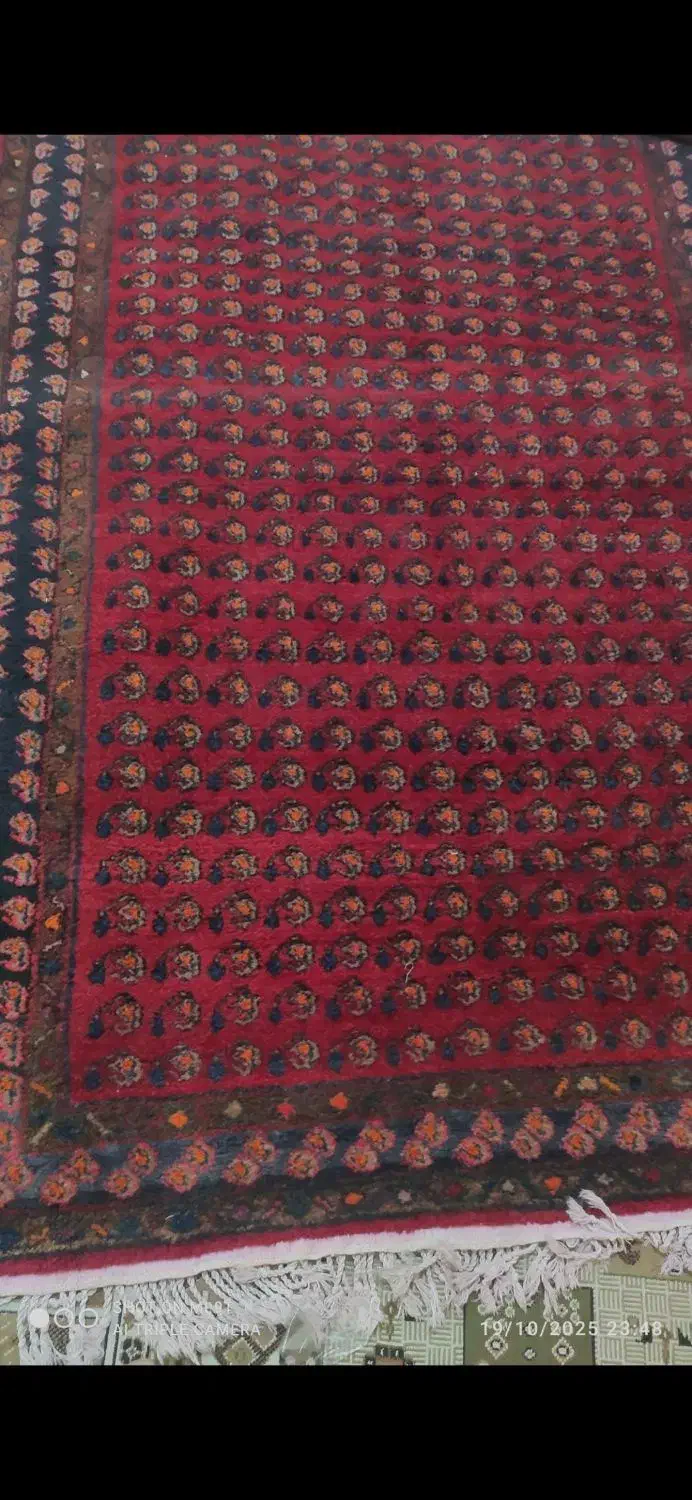 قالیچه قدیمی|گلیم، جاجیم، گبه|ایلام, |دیوار