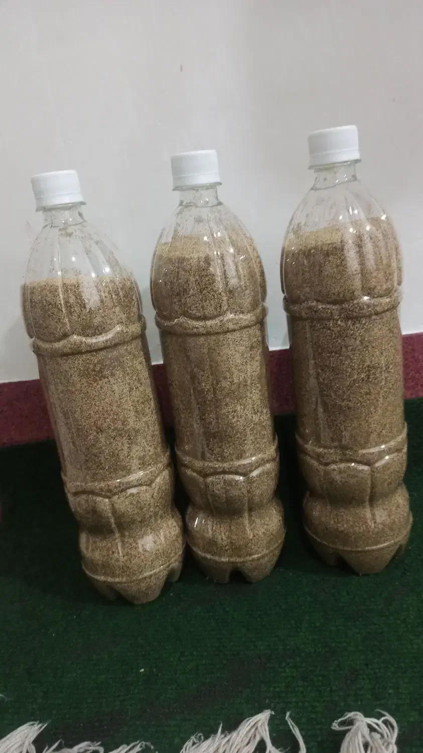 بذر مرغوب و گلچین شده|گل و گیاه طبیعی|کوهدشت, |دیوار