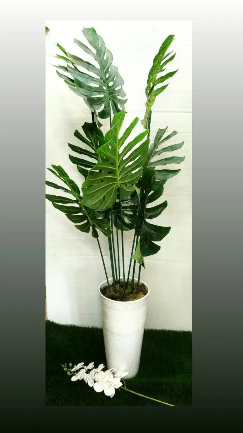 درختچه کنارسالنی|گل مصنوعی|مرند, |دیوار