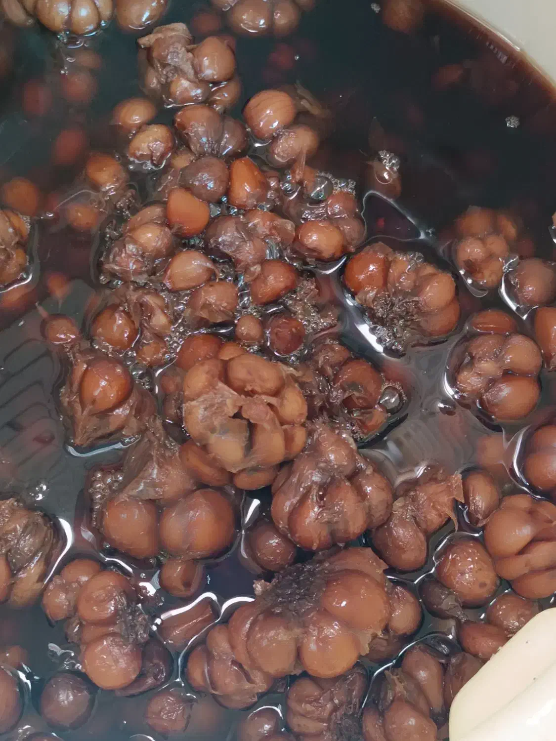 ترشی سیر ۴ساله|خوردنی و آشامیدنی|شیراز, رکن‌آباد|دیوار