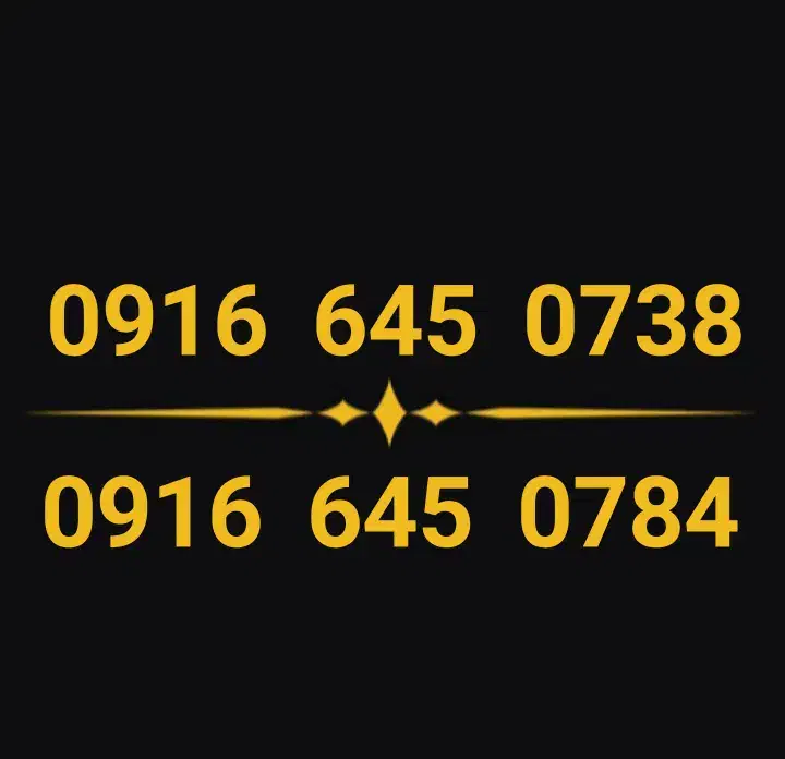 0916.645.0738  0916.645.0784|سیم‌کارت|دزفول, |دیوار