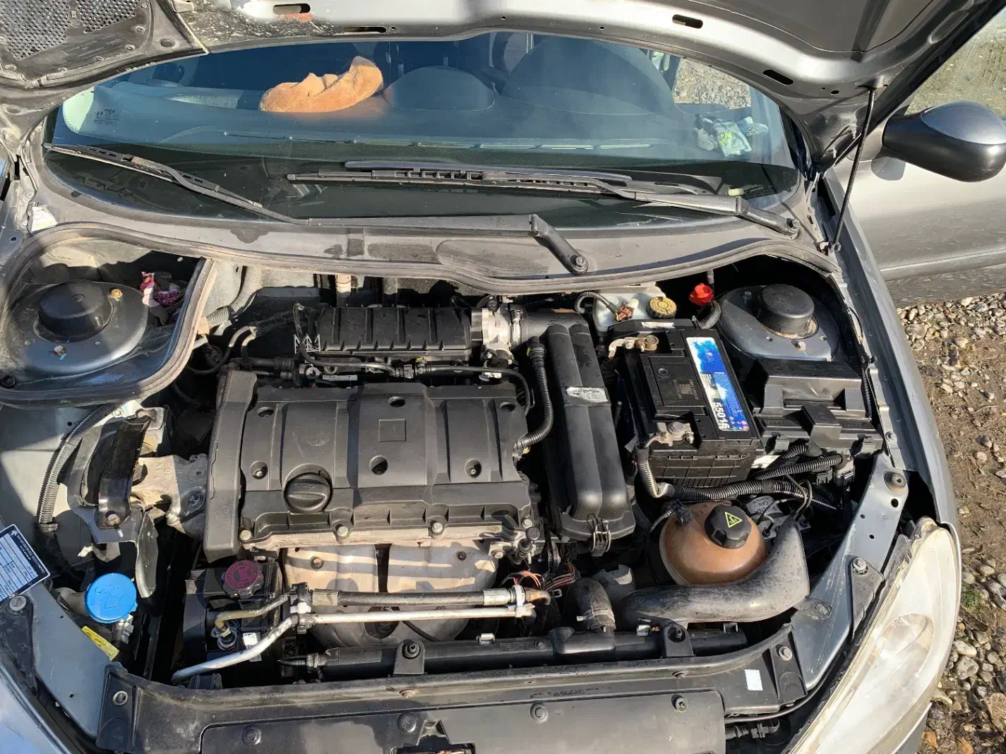 پژو ۲۰۶بی رنگ مدل ۹۵|خودرو سواری و وانت|ماسال, |دیوار