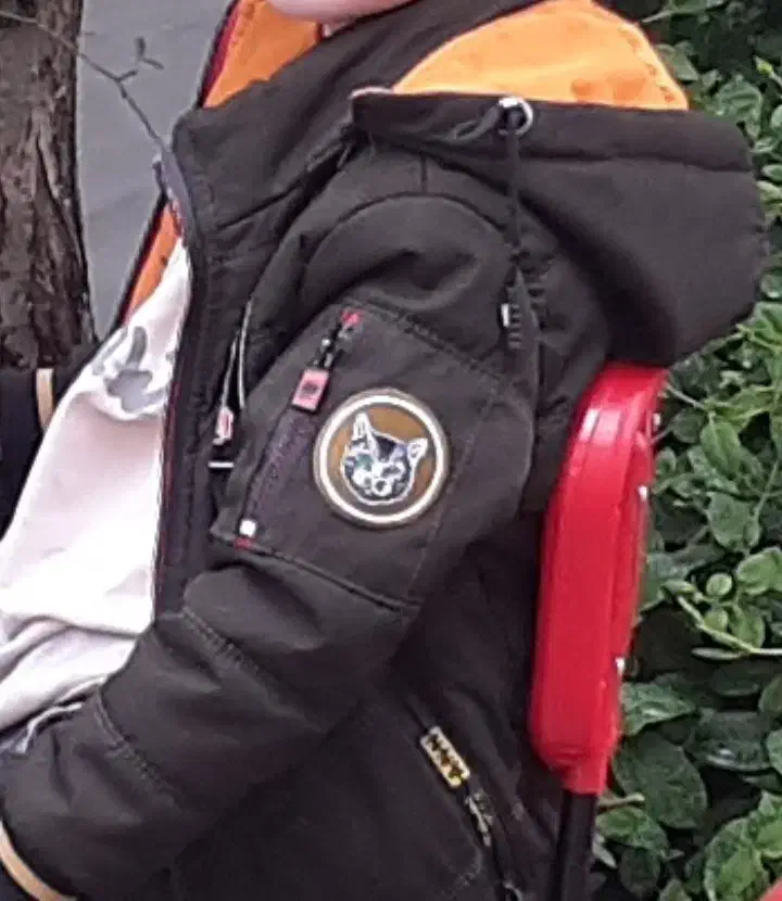 کاپشن|لباس|دورود, |دیوار