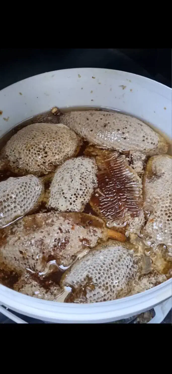 عسل کاملا طبیعی به شرط زنبور وحشی|خوردنی و آشامیدنی|اهواز, کمپلو جنوبی|دیوار