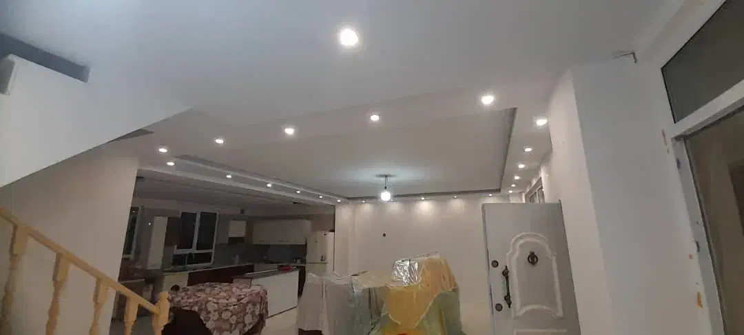 نقاشی ساختمان حرفه ای وباکیفیت|خدمات پیشه و مهارت|دماوند, دماوند|دیوار