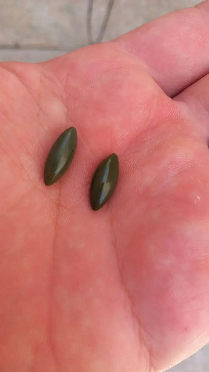 ماکت سنگ اصلی ب شرط تسط|کلکسیون و سرگرمی|اهواز, کیانپارس |دیوار