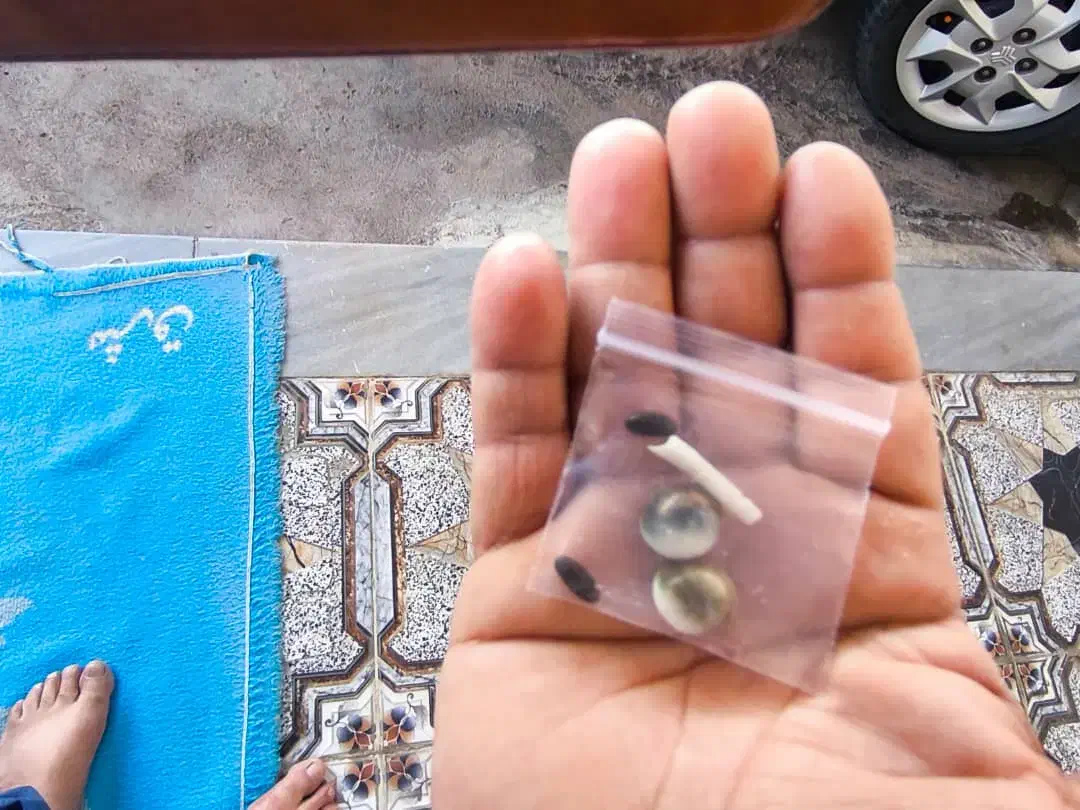 مهرهای قدیمی|جواهرات|شوش, |دیوار