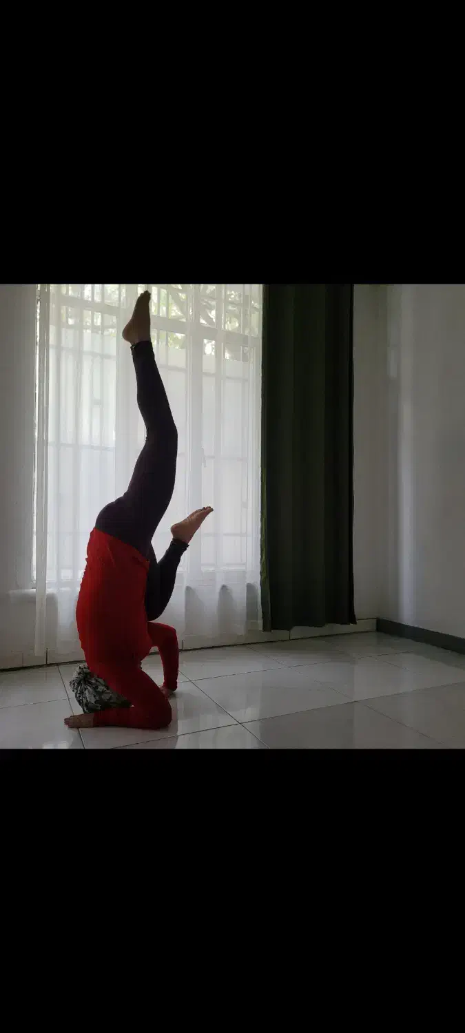 یوگا مدیتیشن بانوان|خدمات آموزشی|اصفهان, جلفا|دیوار