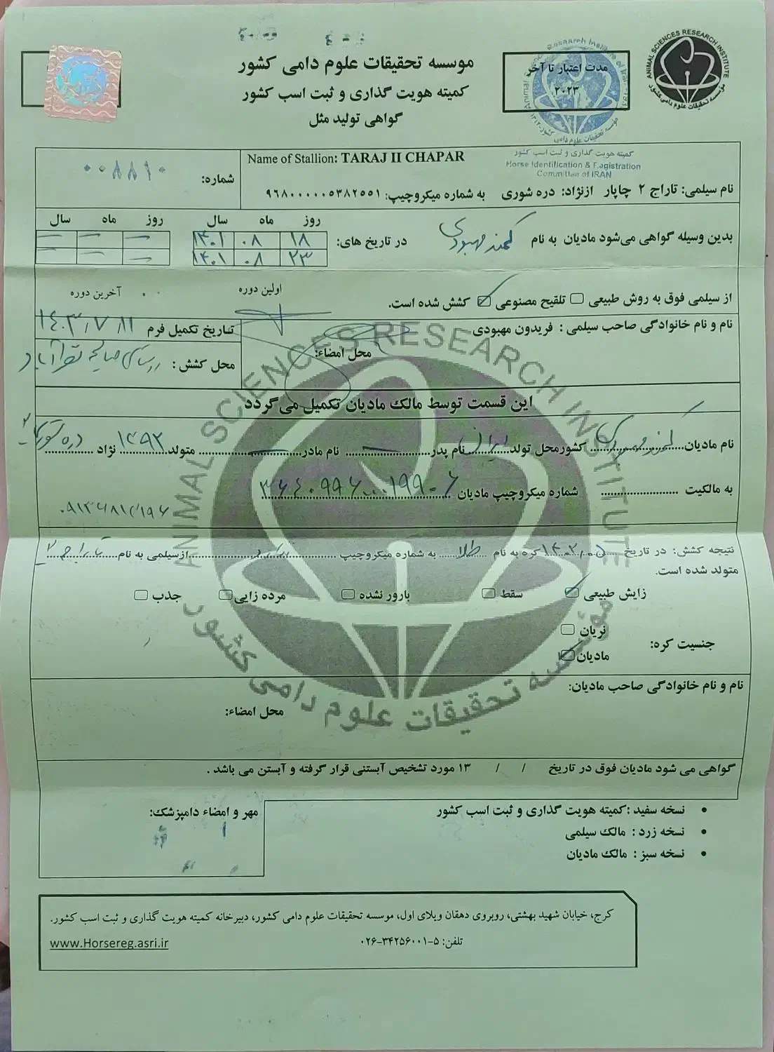 کره مادیون دره شور|اسب و تجهیزات اسب‌سواری|شهرضا, |دیوار