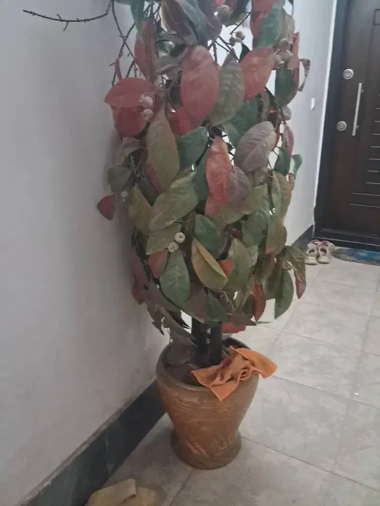 گل مصنوعی|گل مصنوعی|گنبد کاووس, |دیوار