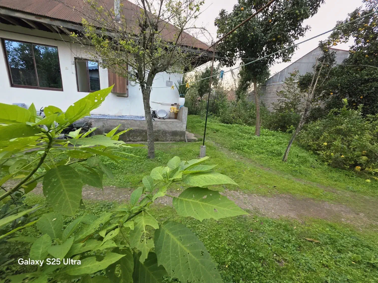 کدبادرنگ/ویلاباغ خانه بهشت۱۳۵۰متر ماهیگیری معلمساز|فروش خانه و ویلا|کوچصفهان, |دیوار