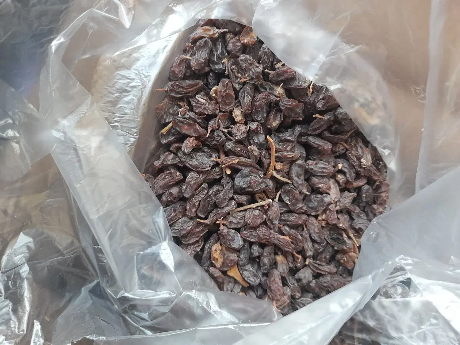 مویز بش دشمن زیاری|خوردنی و آشامیدنی|شیراز, تحویلی|دیوار