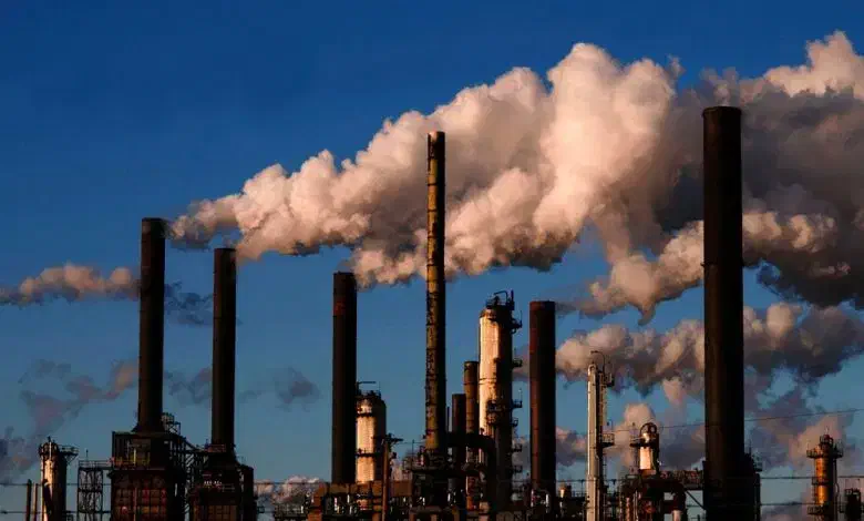 تولید محتوا/تبلیغاتی حرفه ای|خدمات رایانه‌ای و موبایل|کرمان, |دیوار