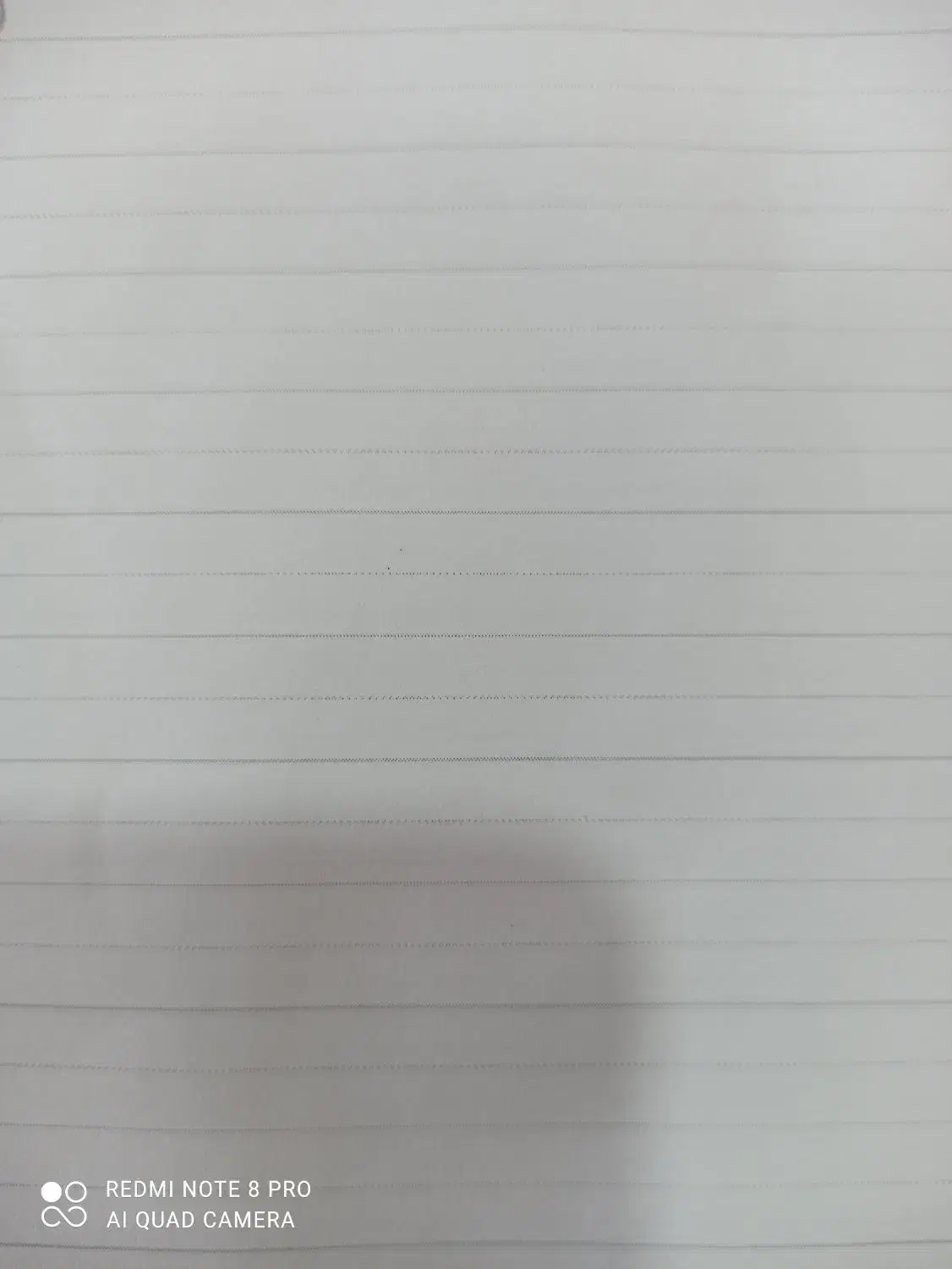 مفقودی طلا|جواهرات|لامرد, |دیوار