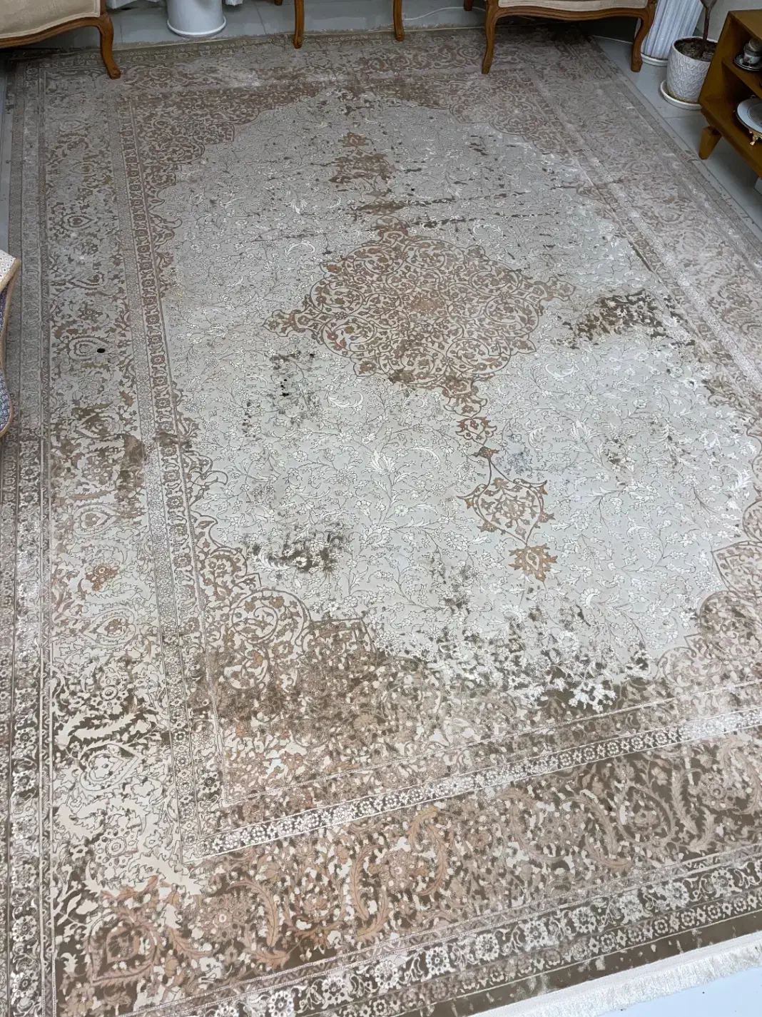 فرش ۹ متری|فرش|گرمدره, |دیوار