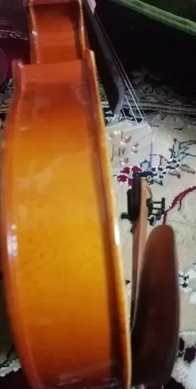 ویولون هافنر 080|ویولن|کازرون, |دیوار