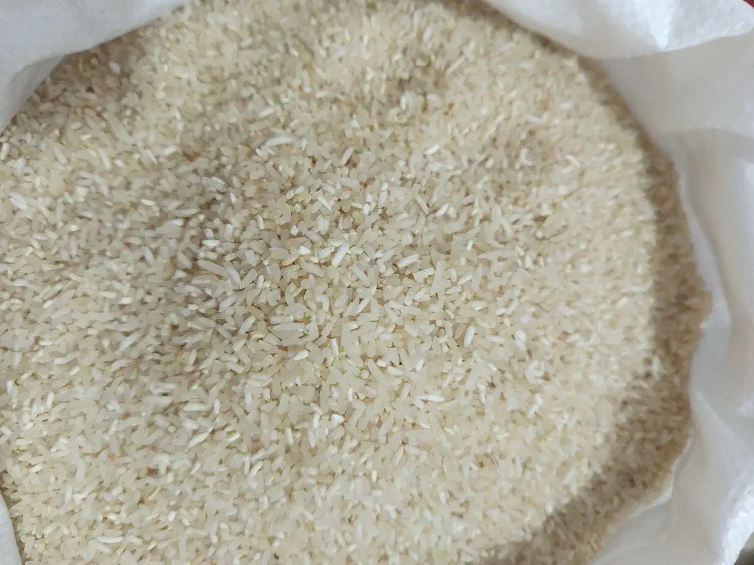 لوبیا چیتی و برنج لاشه ایرانی شمال|خوردنی و آشامیدنی|نیشابور, رحمت آباد|دیوار