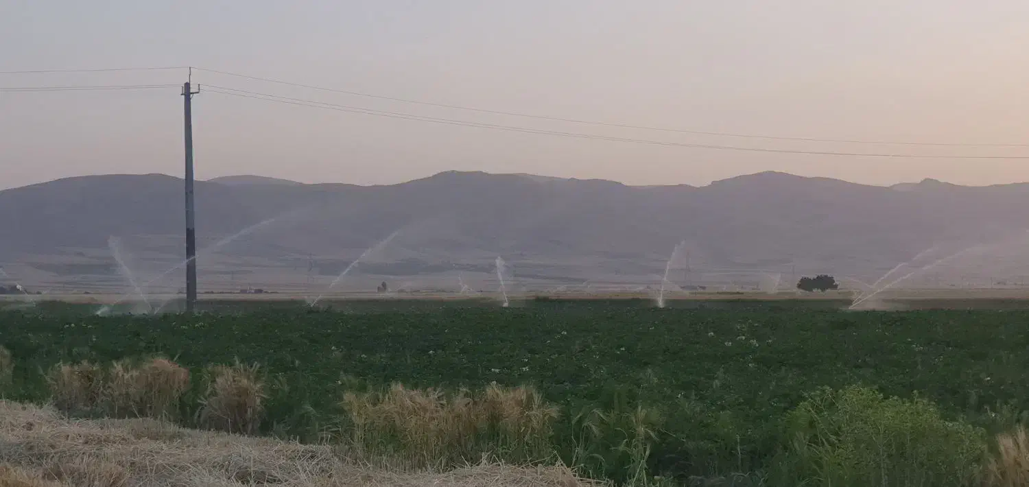 اجاره ۹هکتارونیم زمین مرغوب  بارانی برا کاشت پیاز|اجارهٔ دفتر صنعتی، کشاورزی، تجاری|روانسر, |دیوار