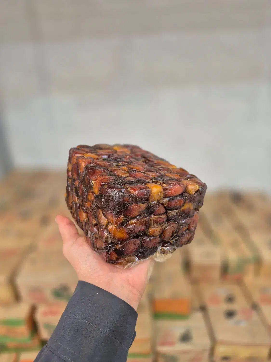 خرما جهرم|خوردنی و آشامیدنی|قم, شهرک سازمان آب|دیوار