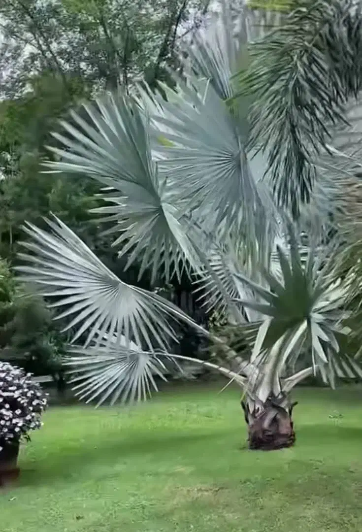 خونه ویلایی روستای گودگز|فروش خانه و ویلا|بستک, |دیوار