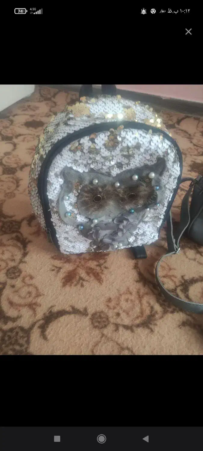 کیف. بچه گونه|کیف، کفش، کمربند|خرم‌آباد, |دیوار