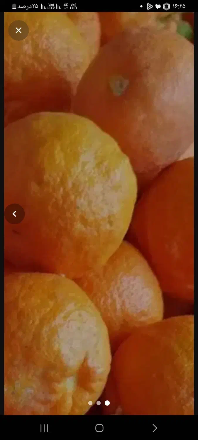 آبگیری نارنج رایگان|خدمات پیشه و مهارت|گرگان, |دیوار