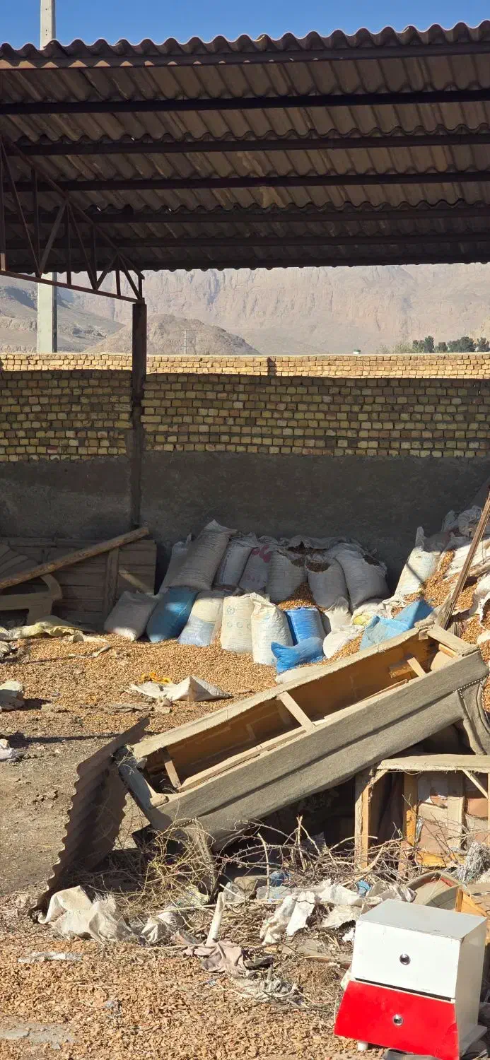 پوسته بادام خام|عمدهفروشی|خمینیشهر, |دیوار