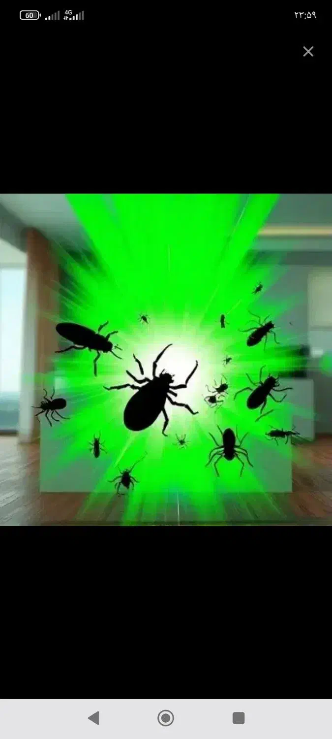 سمپاشی تضمینی سربندر|خدمات نظافت|بندر امام خمینی, |دیوار