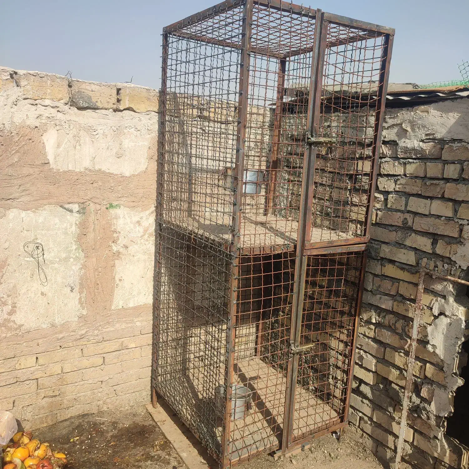 قفس اهنی پرنده مرغ خروس|لوازم جانبی حیوانات|مشهد, سپاد|دیوار