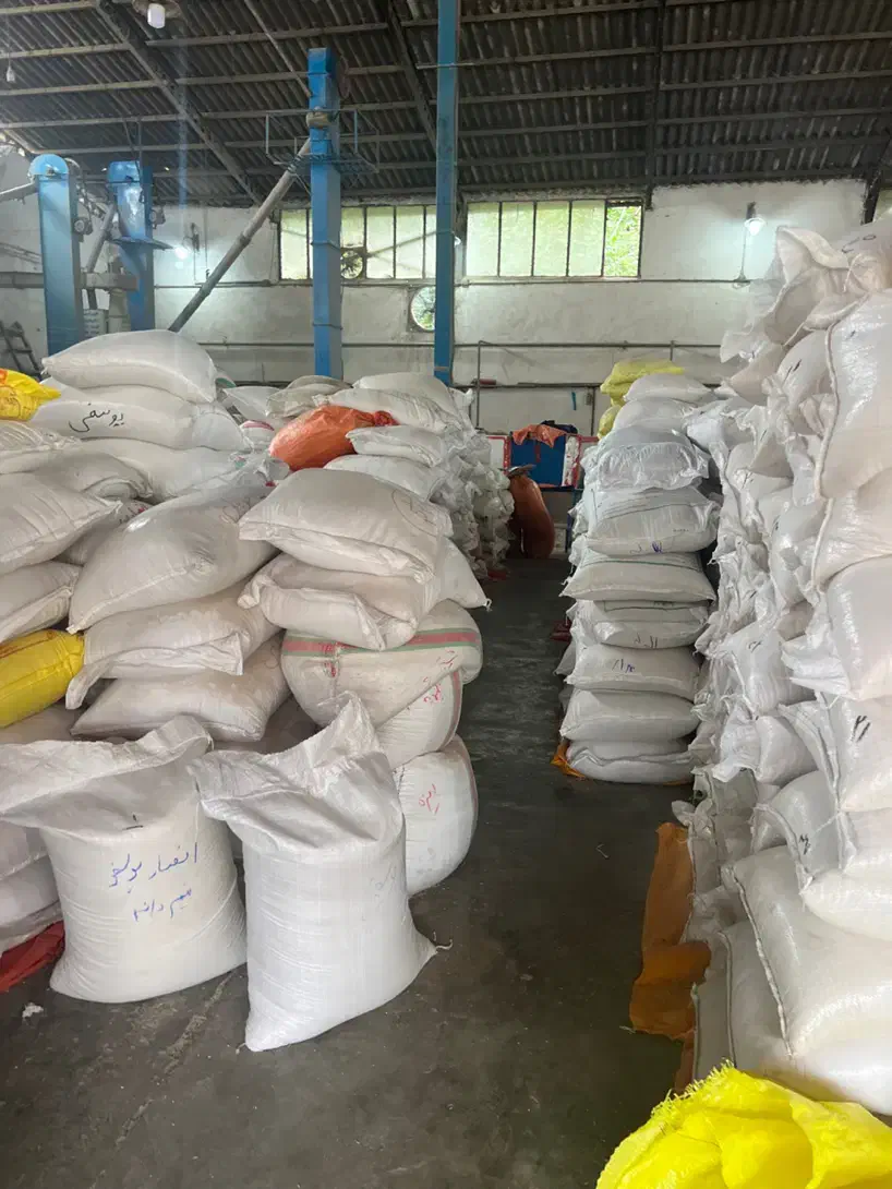 برنج صدری خزر و پرمحصول مازندران (بشرط پخت و طعم)|خوردنی و آشامیدنی|زنجان, |دیوار