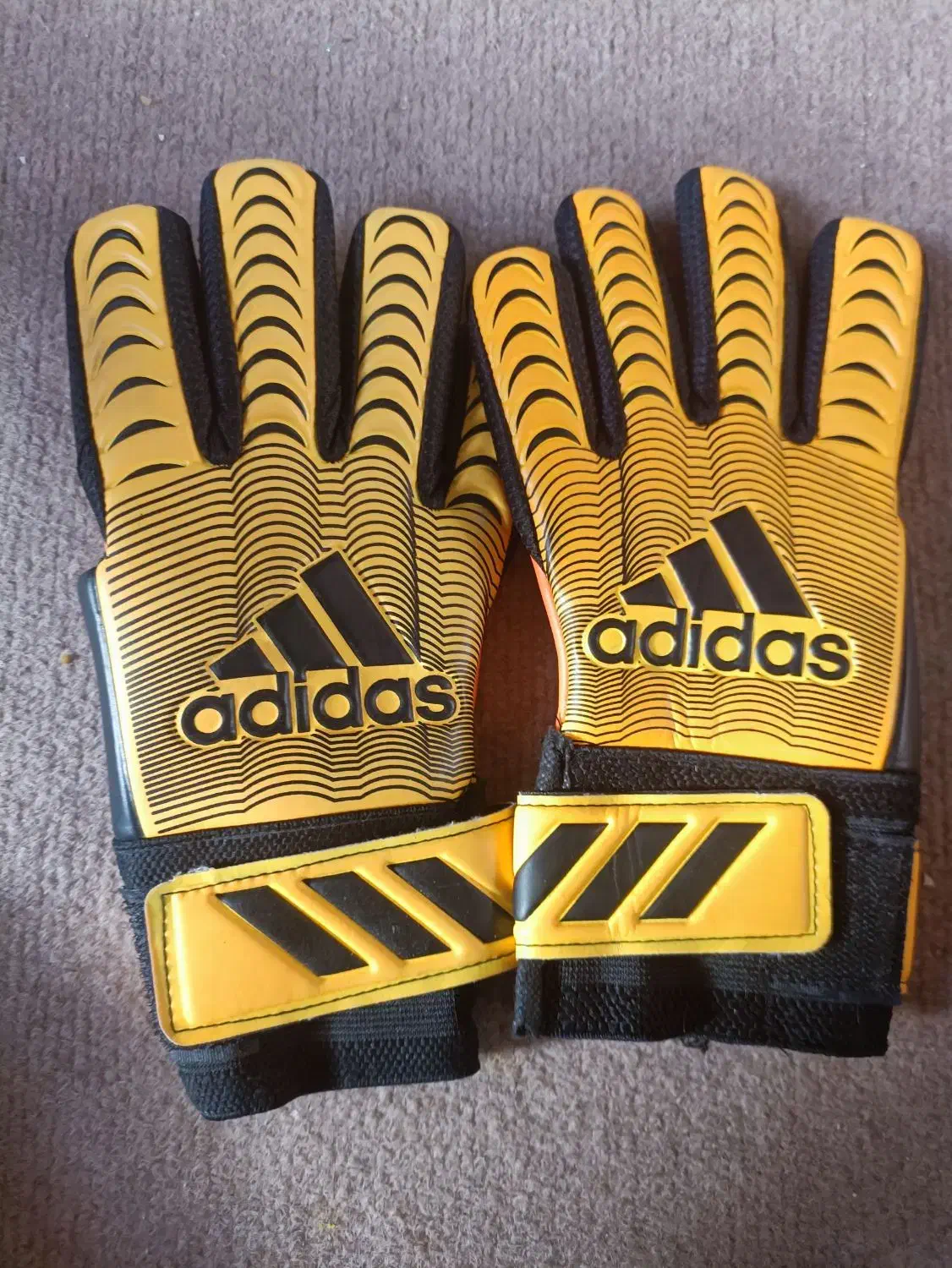 کفش ورزشی و دستکش دروازبانی|کیف، کفش، کمربند|کرمان, |دیوار