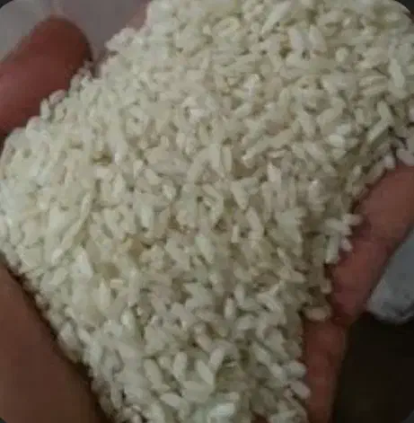 فروش برنج چمپا|خوردنی و آشامیدنی|چیتاب, |دیوار