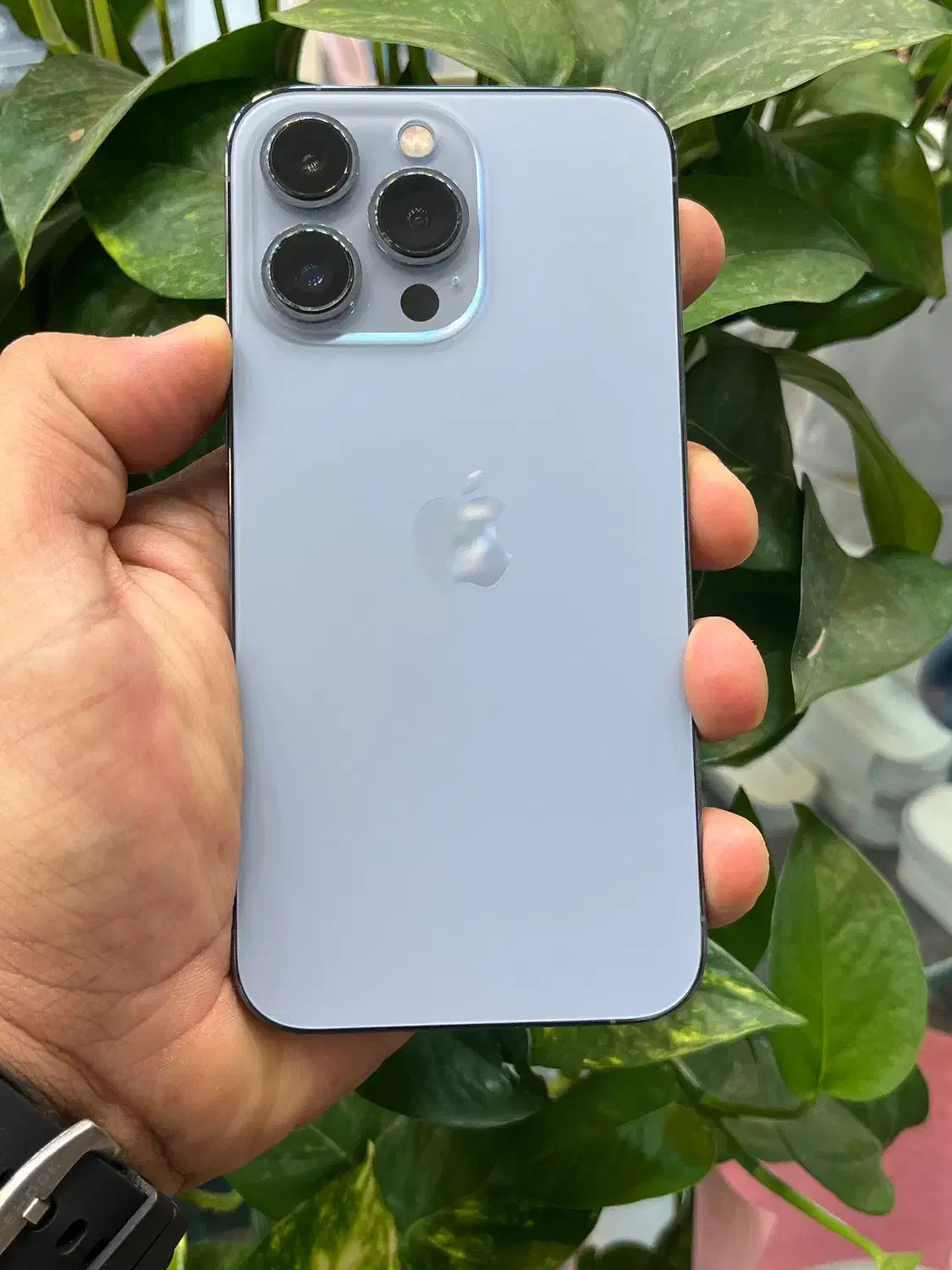Iphone 13pro LLa|موبایل|شیراز, زند|دیوار