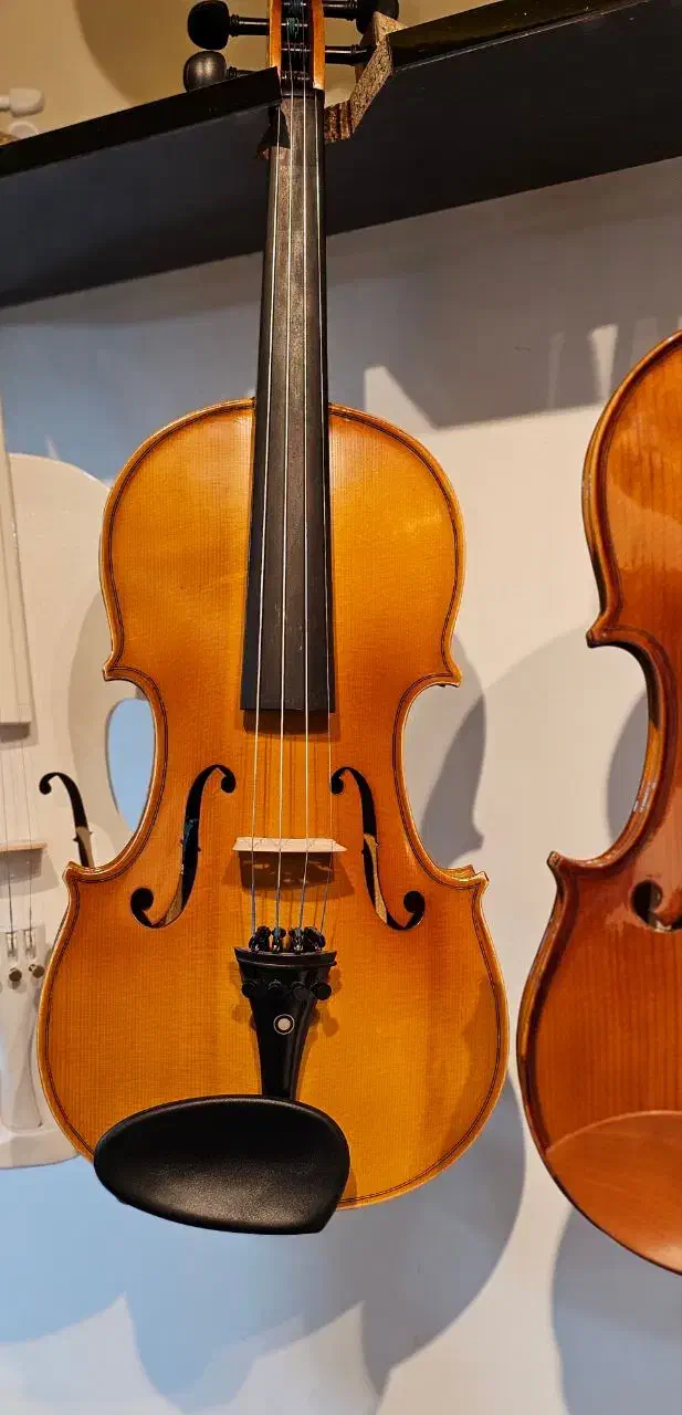 ویولن tf142|ویولن|گنبد کاووس, |دیوار