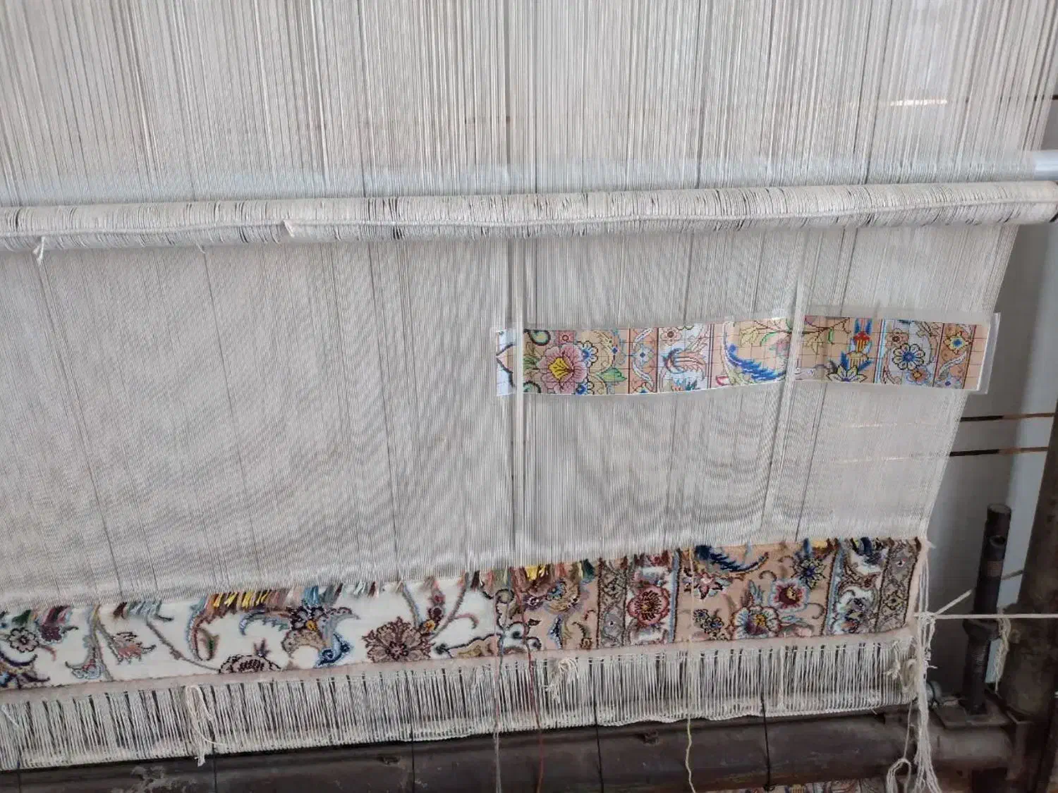 فروش قالی درحال بافت|فرش|نجفآباد, گلدشت|دیوار