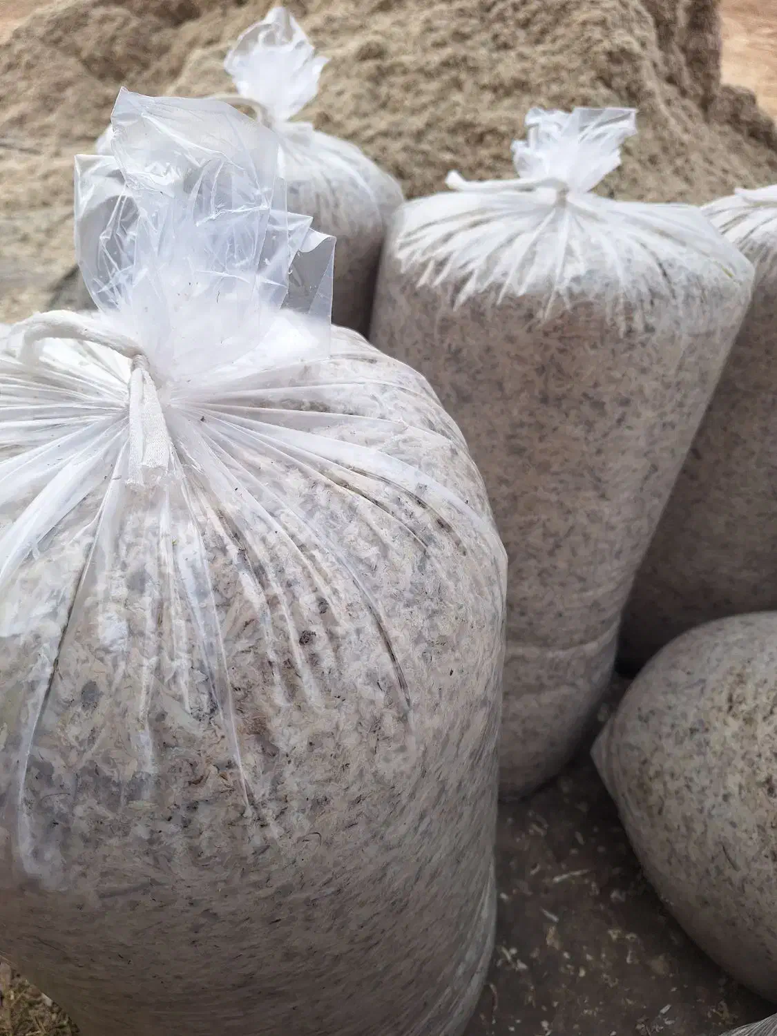 تفاله چغندر|لوازم جانبی حیوانات|فیروزآباد (آذربایجان), |دیوار