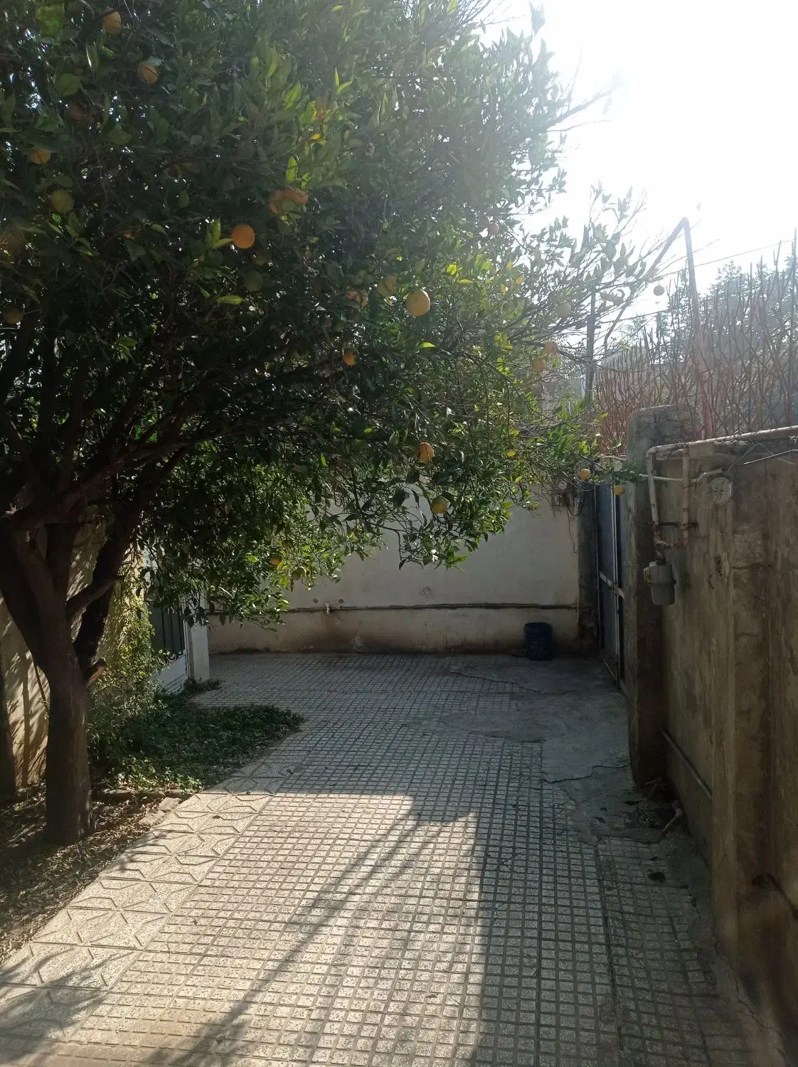 سوئیت ویلایی با پارکینگ|اجارهٔ کوتاهمدت آپارتمان و سوئیت|گالیکش, |دیوار