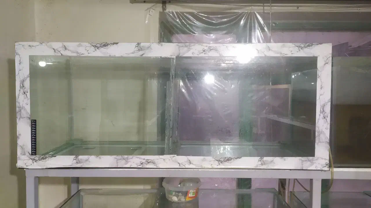 فروش انواع سایز آکواریوم بعلت جمع آوری سالن|ماهی|همدان, |دیوار