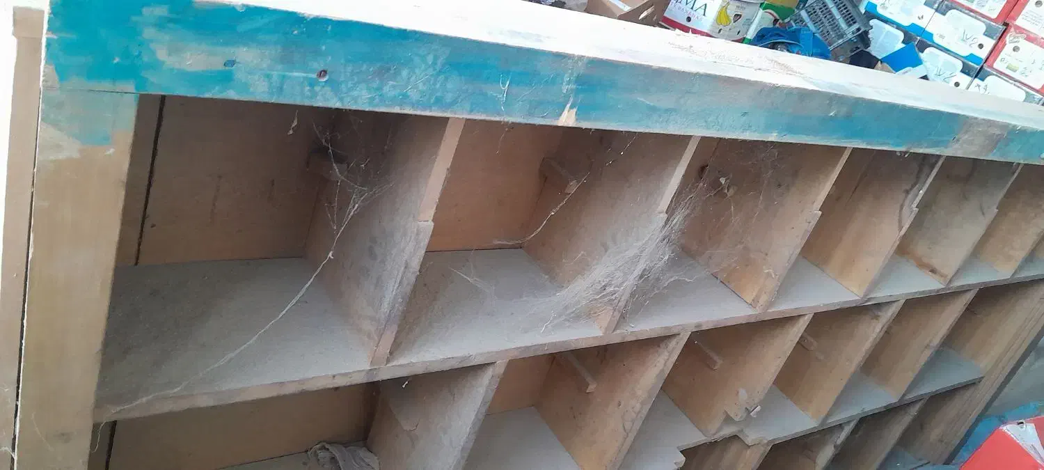 قفسه چوبی چوب درجه یک|کتابخانه، شلف، قفسه‌های دیواری|نیشابور, بلوار گلها|دیوار