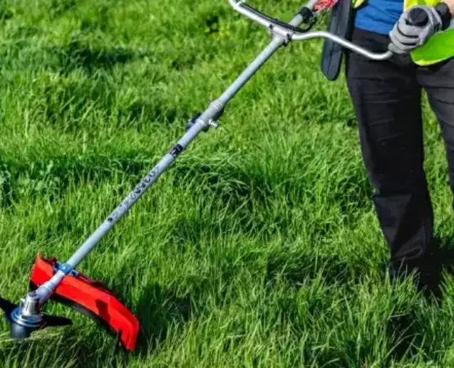 خدمات کشاورزی و باغداری|خدمات باغبانی و درختکاری|سامان, |دیوار