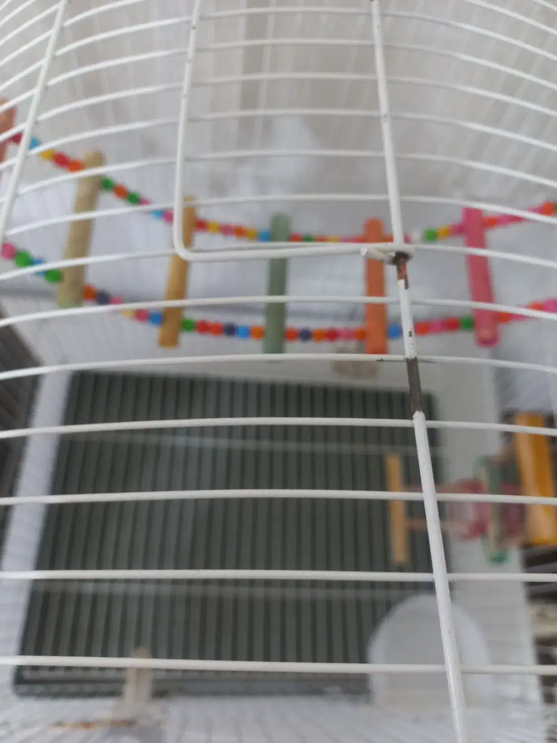 قفس بزرگ پرنده|لوازم جانبی حیوانات|ارومیه, |دیوار