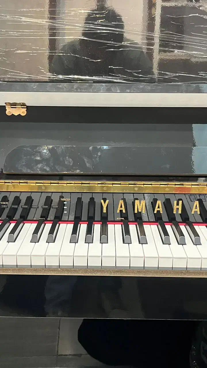 پیانو طرح آگوستیک یاماها|پیانو، کیبورد، آکاردئون|رشت, حمیدیان|دیوار