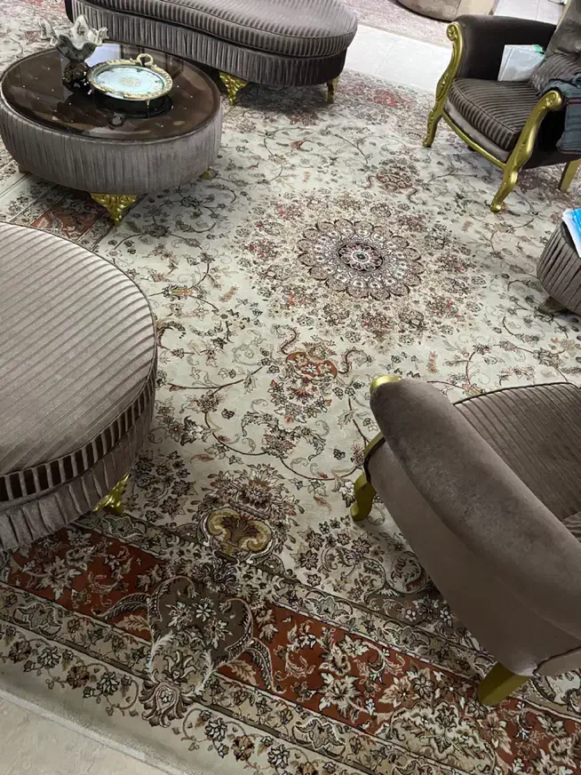 فرش ۱۲ متری|فرش|رشت, کاکتوس|دیوار