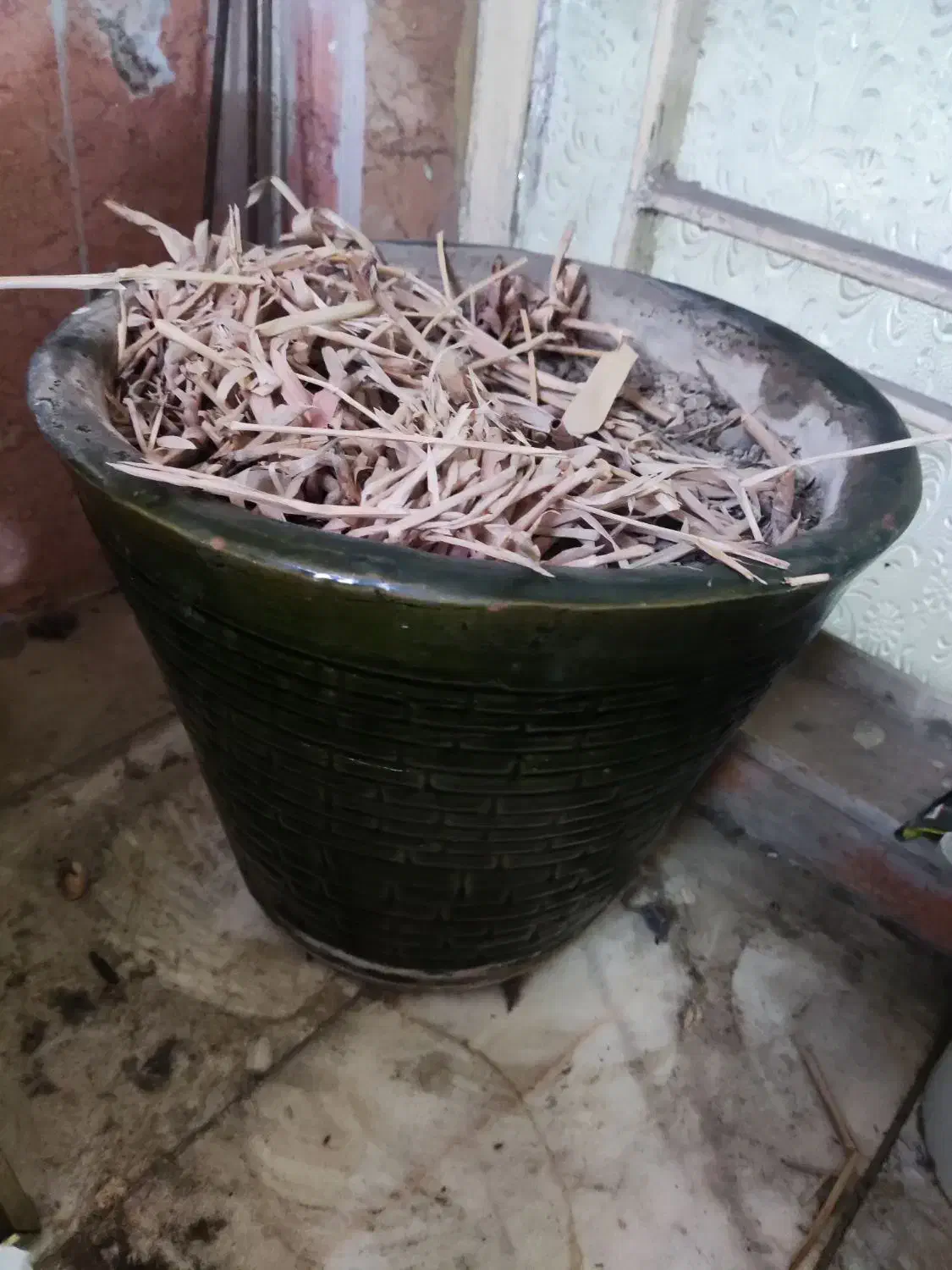 گلدان|گل و گیاه طبیعی|تهران, نازی‌آباد|دیوار