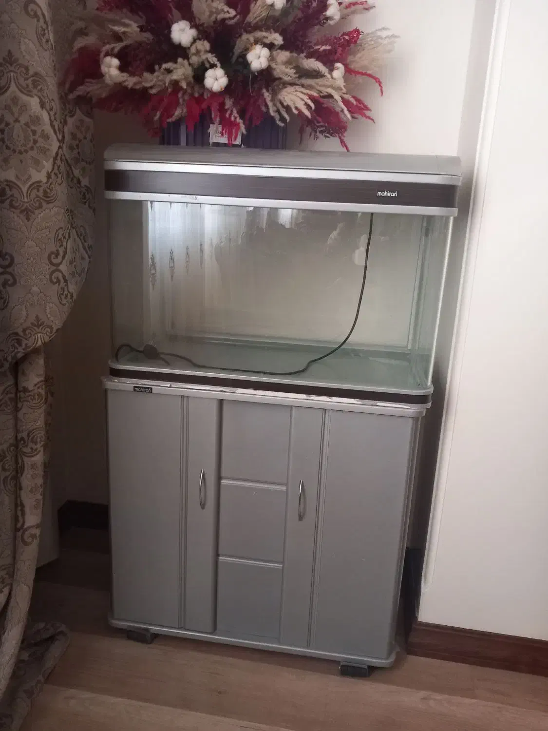 آکواریوم ماهی|ماهی|میانه, |دیوار